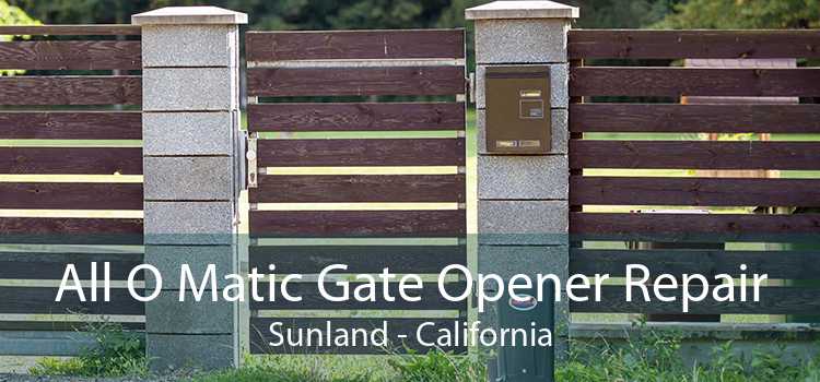 All O Matic Gate Opener Repair Sunland - California
