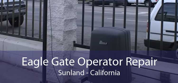 Eagle Gate Operator Repair Sunland - California