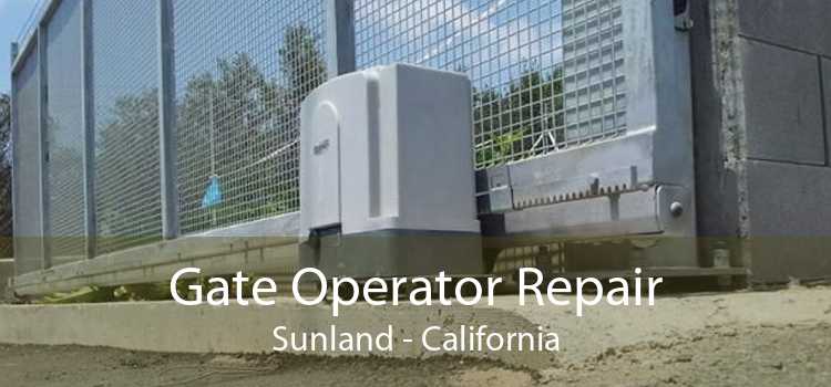 Gate Operator Repair Sunland - California