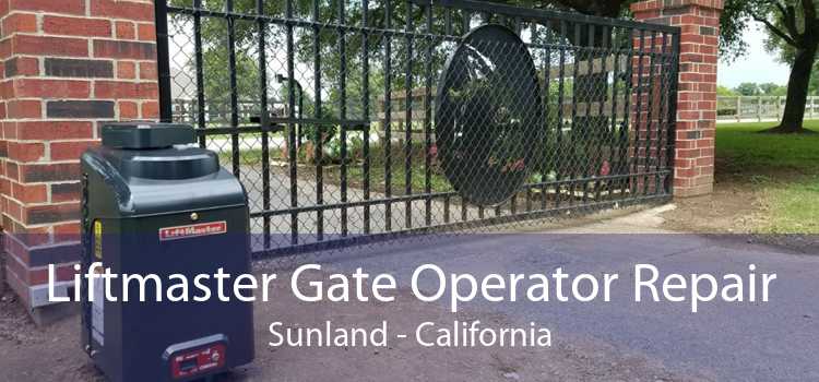 Liftmaster Gate Operator Repair Sunland - California